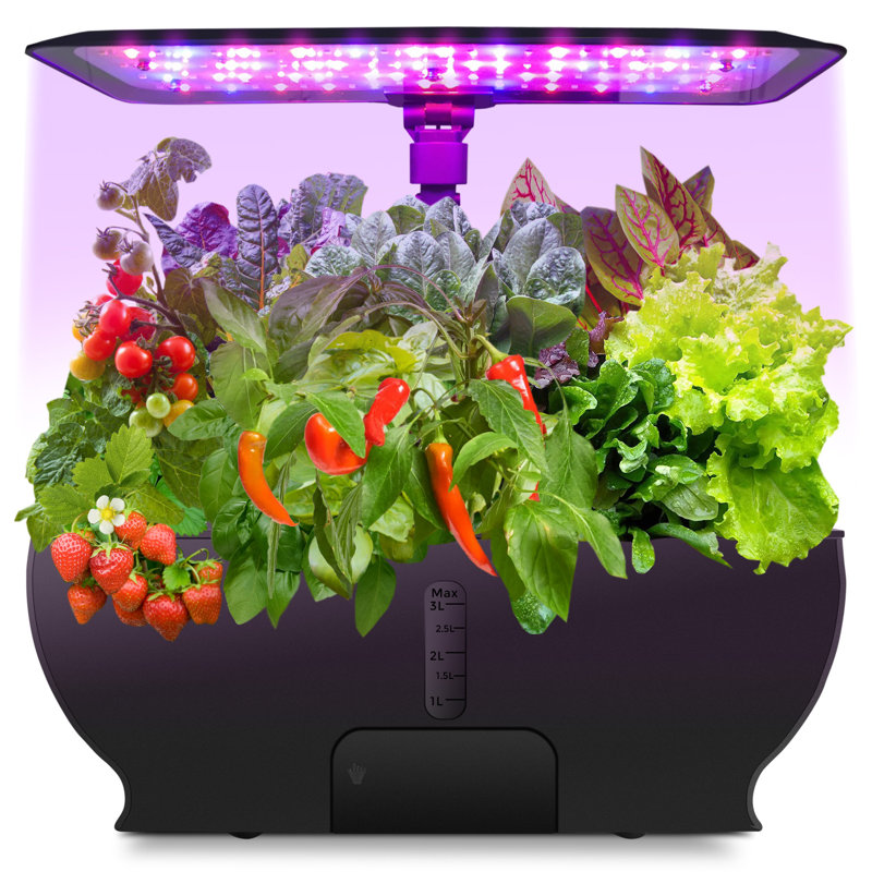 Hydroponics Growing System - Indoor Herb Garden Kit - Furni Outdoor World