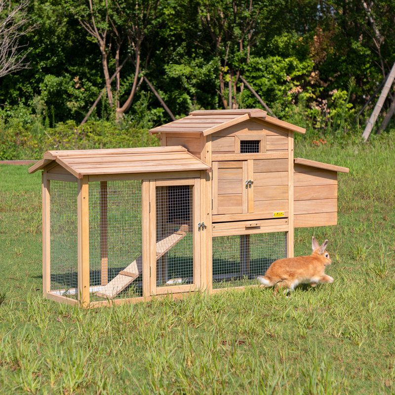 Wooden Rabbit Hutch Openable Door - Furni Outdoor World